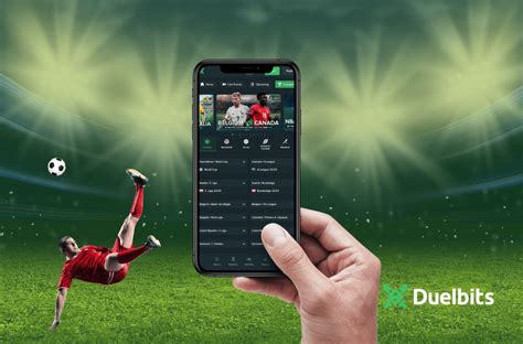 Duelbits Roulette Betting Guide .